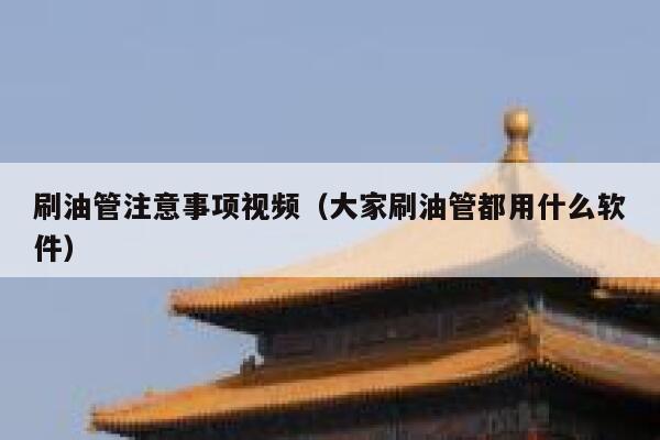 刷油管注意事项视频（大家刷油管都用什么软件） 第1张
