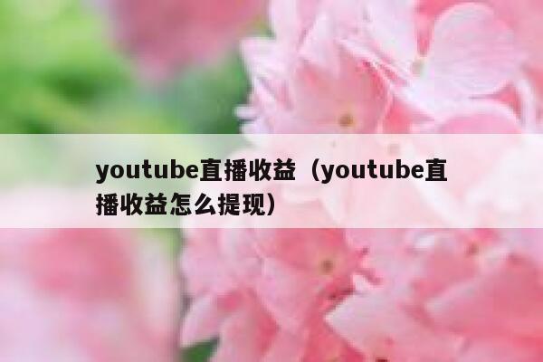 youtube直播收益（youtube直播收益怎么提现） 第1张