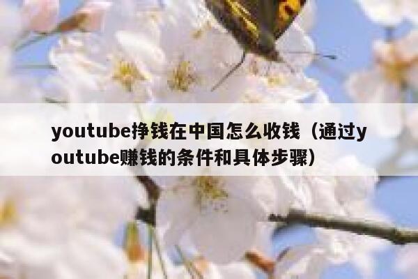 youtube挣钱在中国怎么收钱（通过youtube赚钱的条件和具体步骤） 第1张