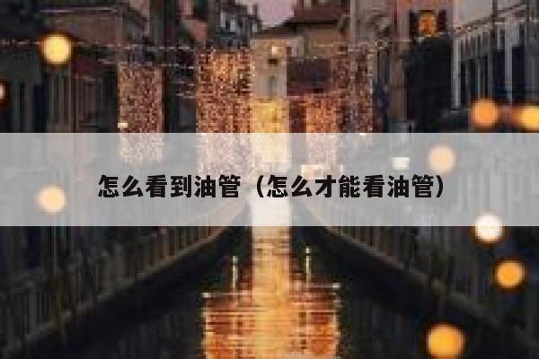 怎么看到油管（怎么才能看油管） 第1张