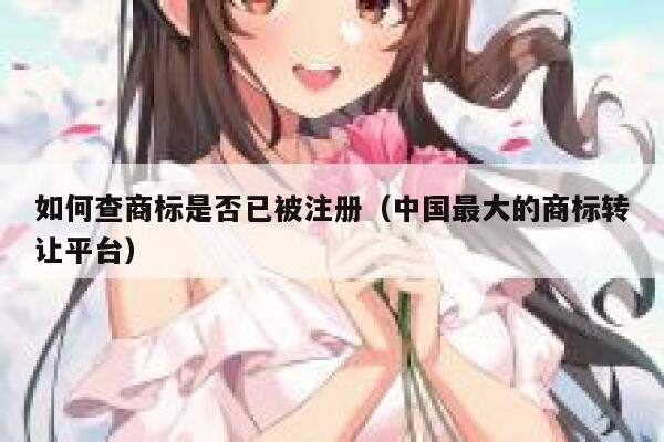 如何查商标是否已被注册（中国最大的商标转让平台） 第1张