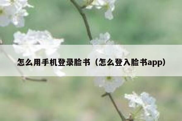 怎么用手机登录脸书（怎么登入脸书app） 第1张