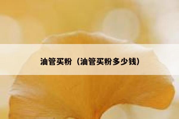 油管买粉（油管买粉多少钱） 第1张