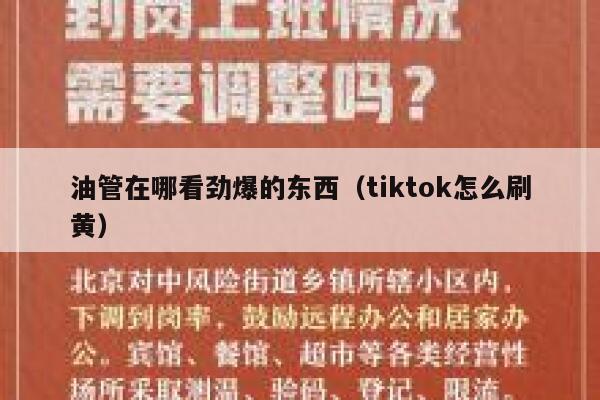 油管在哪看劲爆的东西（tiktok怎么刷黄） 第1张