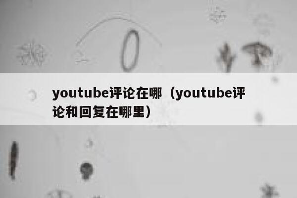 youtube评论在哪（youtube评论和回复在哪里） 第1张