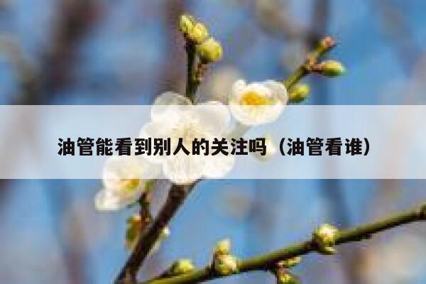 油管能看到别人的关注吗（油管看谁） 第1张
