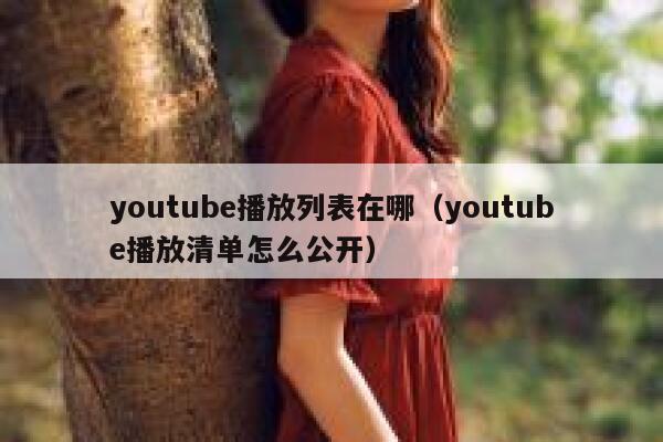 youtube播放列表在哪（youtube播放清单怎么公开） 第1张