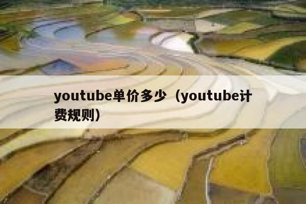 youtube单价多少（youtube计费规则） 第1张