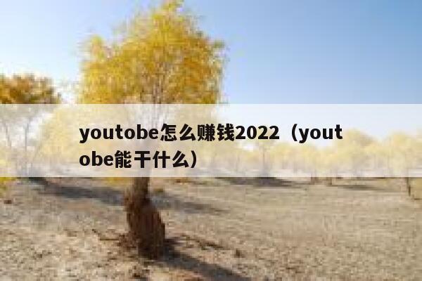 youtobe怎么赚钱2022（youtobe能干什么） 第1张