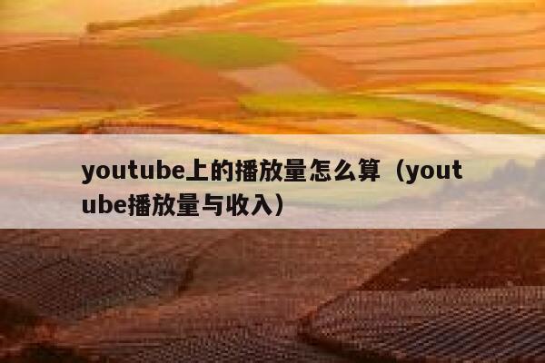 youtube上的播放量怎么算（youtube播放量与收入） 第1张
