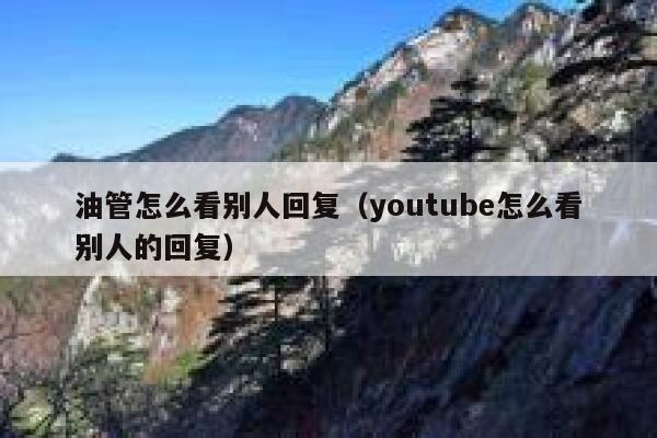 油管怎么看别人回复（youtube怎么看别人的回复） 第1张