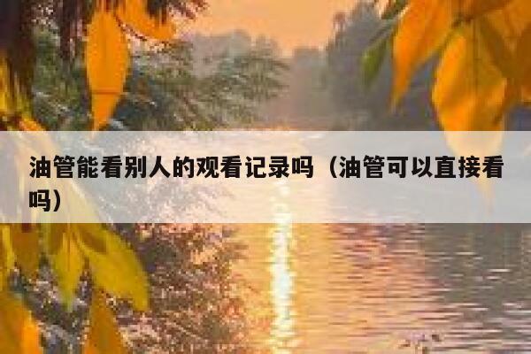 油管能看别人的观看记录吗（油管可以直接看吗） 第1张