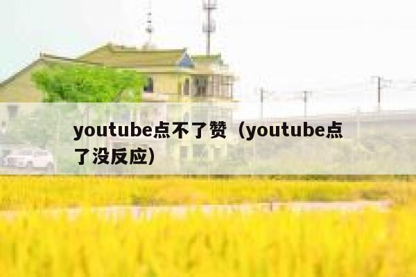 youtube点不了赞（youtube点了没反应） 第1张