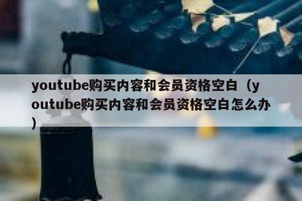 youtube购买内容和会员资格空白（youtube购买内容和会员资格空白怎么办） 第1张
