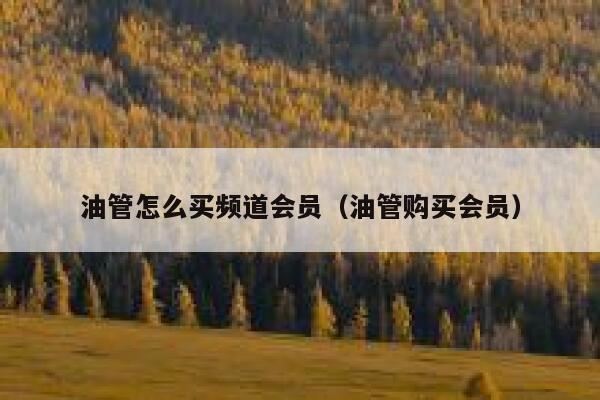 油管怎么买频道会员（油管购买会员） 第1张