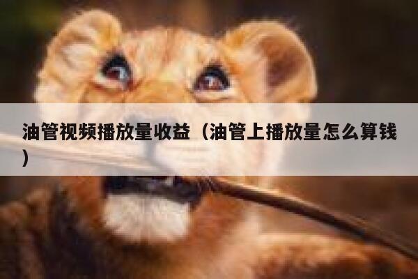 油管视频播放量收益（油管上播放量怎么算钱） 第1张