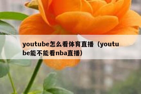 youtube怎么看体育直播（youtube能不能看nba直播） 第1张