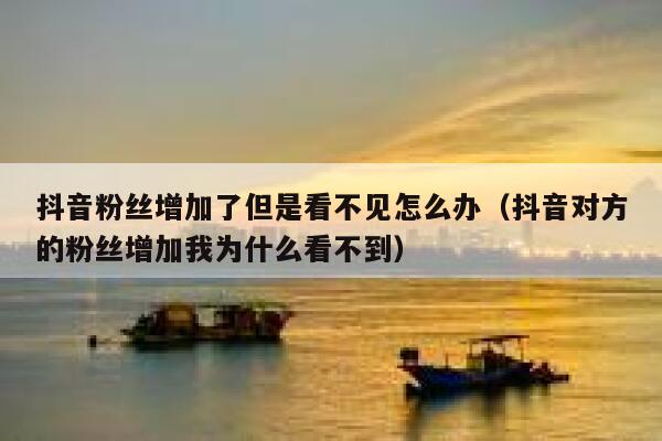 抖音粉丝增加了但是看不见怎么办（抖音对方的粉丝增加我为什么看不到） 第1张