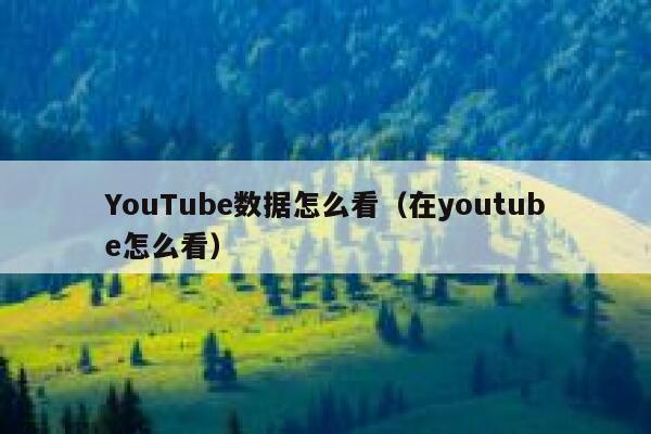 YouTube数据怎么看（在youtube怎么看） 第1张