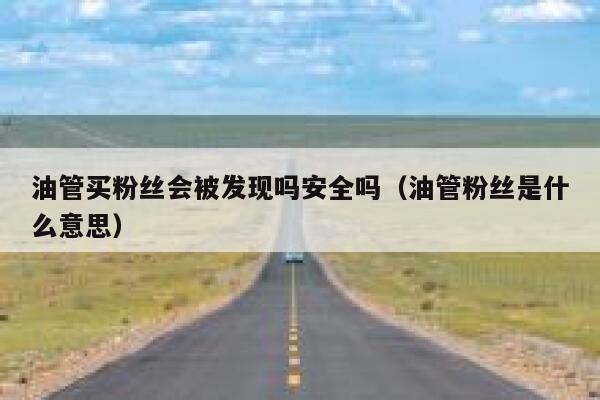 油管买粉丝会被发现吗安全吗（油管粉丝是什么意思） 第1张