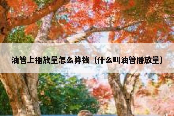 油管上播放量怎么算钱（什么叫油管播放量） 第1张