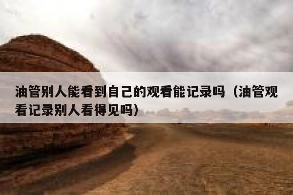 油管别人能看到自己的观看能记录吗（油管观看记录别人看得见吗） 第1张