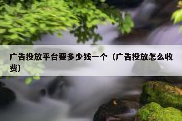 广告投放平台要多少钱一个（广告投放怎么收费） 第1张