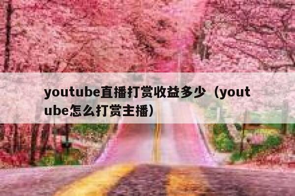 youtube直播打赏收益多少（youtube怎么打赏主播） 第1张