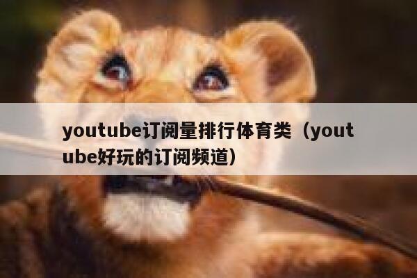 youtube订阅量排行体育类（youtube好玩的订阅频道） 第1张