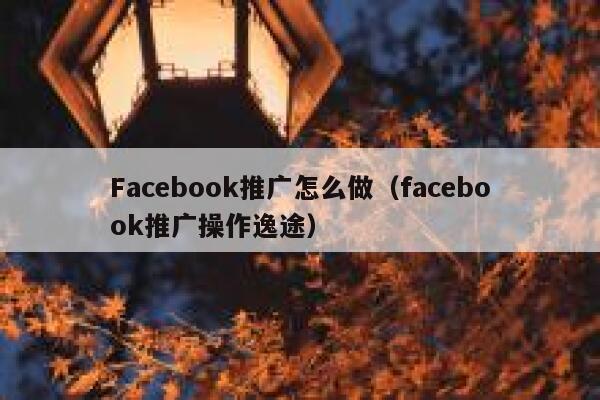 Facebook推广怎么做（facebook推广操作逸途） 第1张