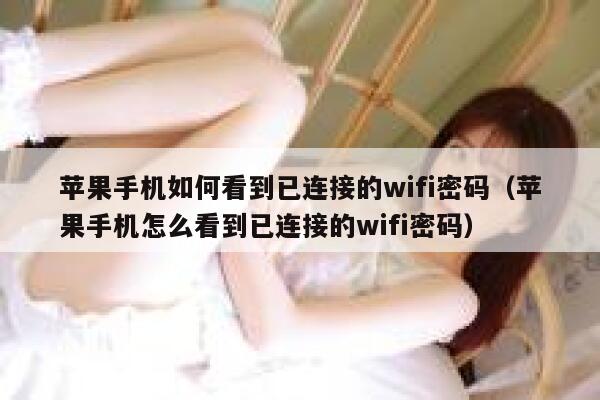 苹果手机如何看到已连接的wifi密码（苹果手机怎么看到已连接的wifi密码） 第1张