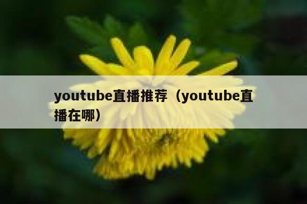 youtube直播推荐（youtube直播在哪） 第1张