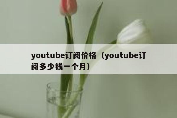 youtube订阅价格（youtube订阅多少钱一个月） 第1张