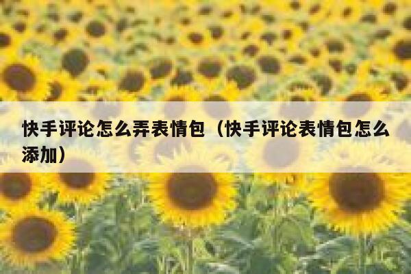 快手评论怎么弄表情包（快手评论表情包怎么添加） 第1张