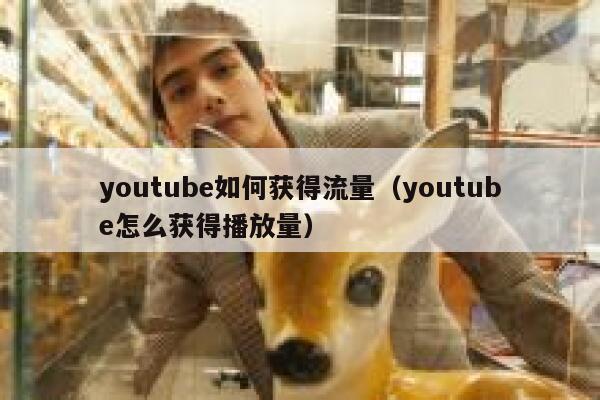 youtube如何获得流量（youtube怎么获得播放量） 第1张