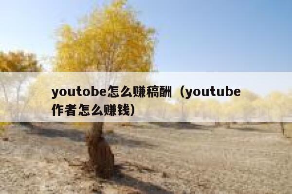 youtobe怎么赚稿酬（youtube作者怎么赚钱） 第1张