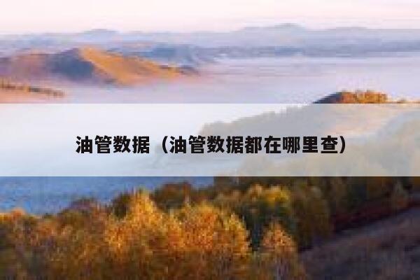 油管数据（油管数据都在哪里查） 第1张