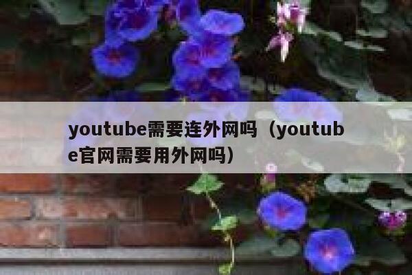 youtube需要连外网吗（youtube官网需要用外网吗） 第1张