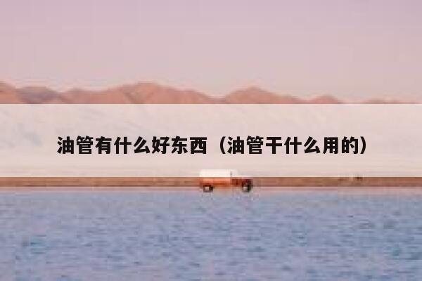 油管有什么好东西（油管干什么用的） 第1张