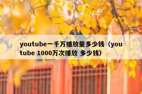 youtube一千万播放量多少钱（youtube 1000万次播放 多少钱） 第1张