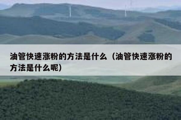 油管快速涨粉的方法是什么（油管快速涨粉的方法是什么呢） 第1张