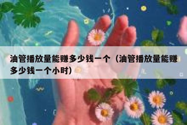 油管播放量能赚多少钱一个（油管播放量能赚多少钱一个小时） 第1张