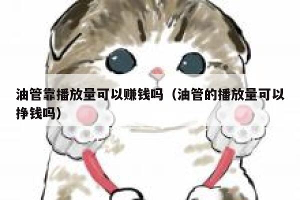 油管靠播放量可以赚钱吗(油管的播放量可以挣钱吗) 第1张 油管靠播放量可以赚钱吗(油管的播放量可以挣钱吗) 第1张