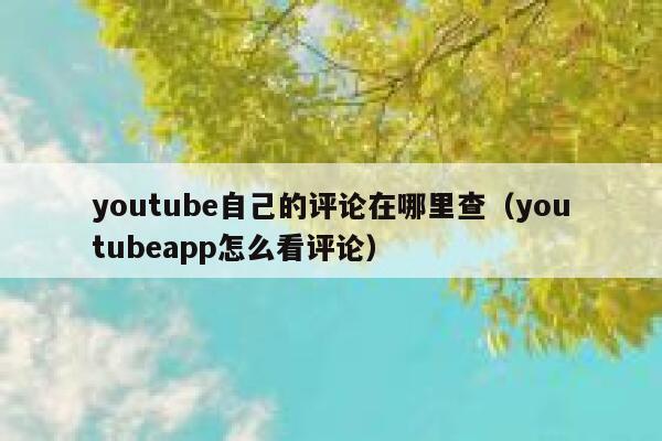 youtube自己的评论在哪里查（youtubeapp怎么看评论） 第1张