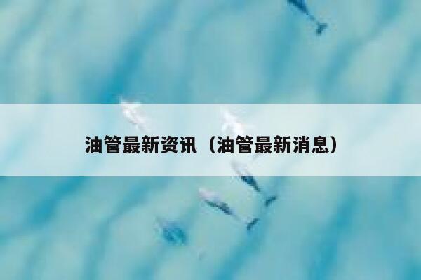 油管最新资讯（油管最新消息） 第1张