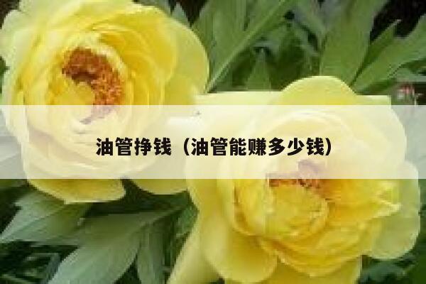 油管挣钱（油管能赚多少钱） 第1张