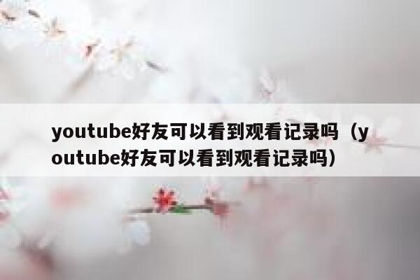 youtube好友可以看到观看记录吗（youtube好友可以看到观看记录吗） 第1张