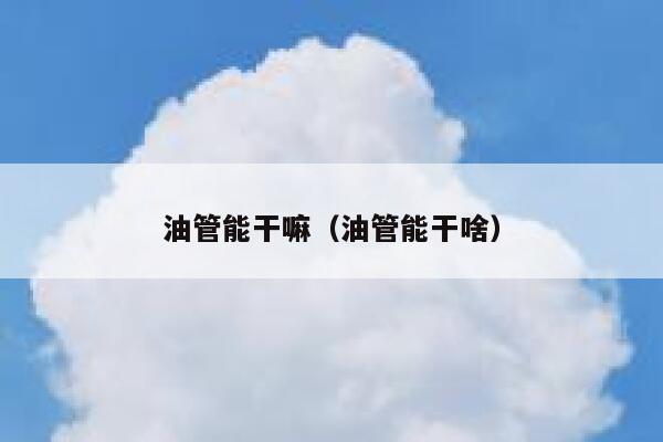 油管能干嘛(油管能干啥) 第1张 油管能干嘛(油管能干啥) 第1张