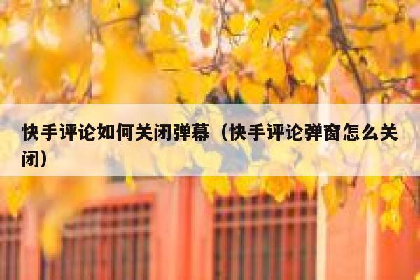 快手评论如何关闭弹幕（快手评论弹窗怎么关闭） 第1张