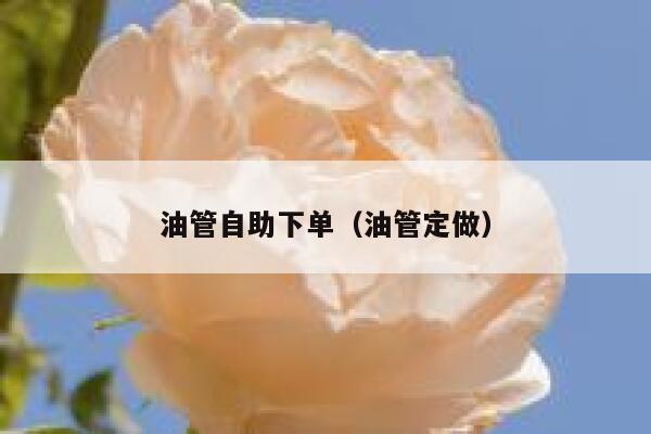 油管自助下单（油管定做） 第1张